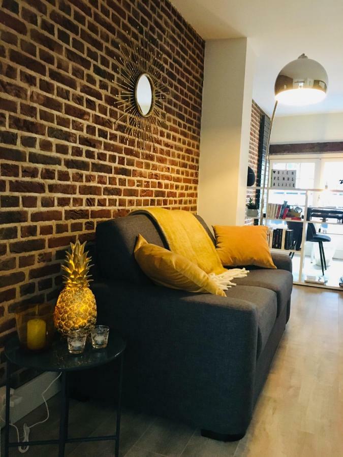 Appartement Heloise, Le Charme Du Vieux-里尔 外观 照片